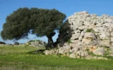 Villaggio preistorico di Nola: tesoro archeologico unico