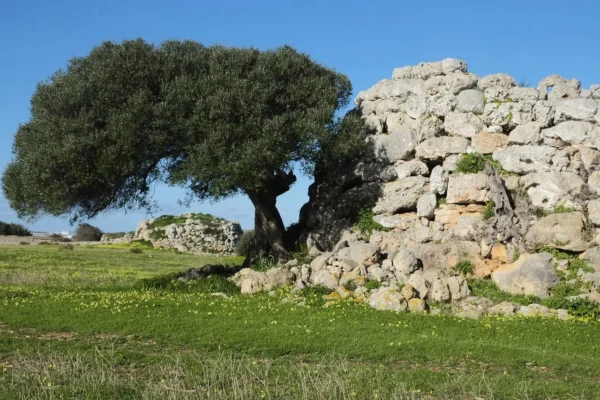 Villaggio preistorico di Nola: tesoro archeologico unico